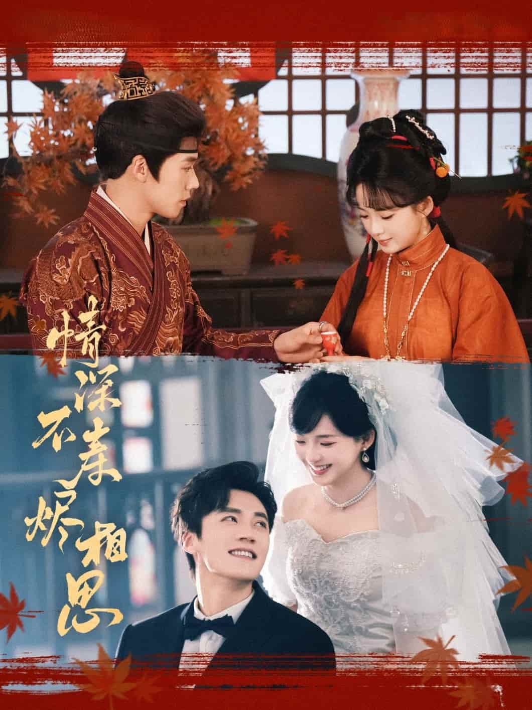 情深不寿烬相思(全集)