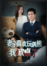 妻子玩偶里的秘密(全集)