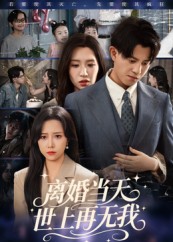离婚当天世上再无我