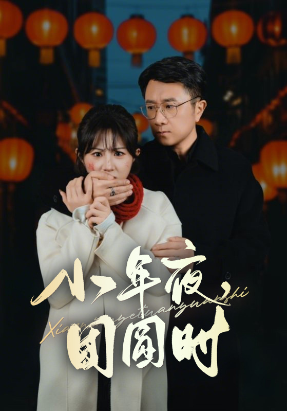 小年夜万家灯火没有我(全集)