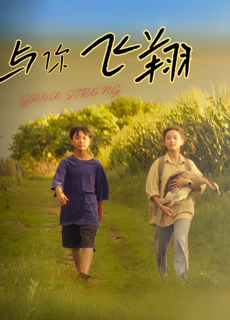 与你飞翔