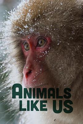 Animals Like(全集)