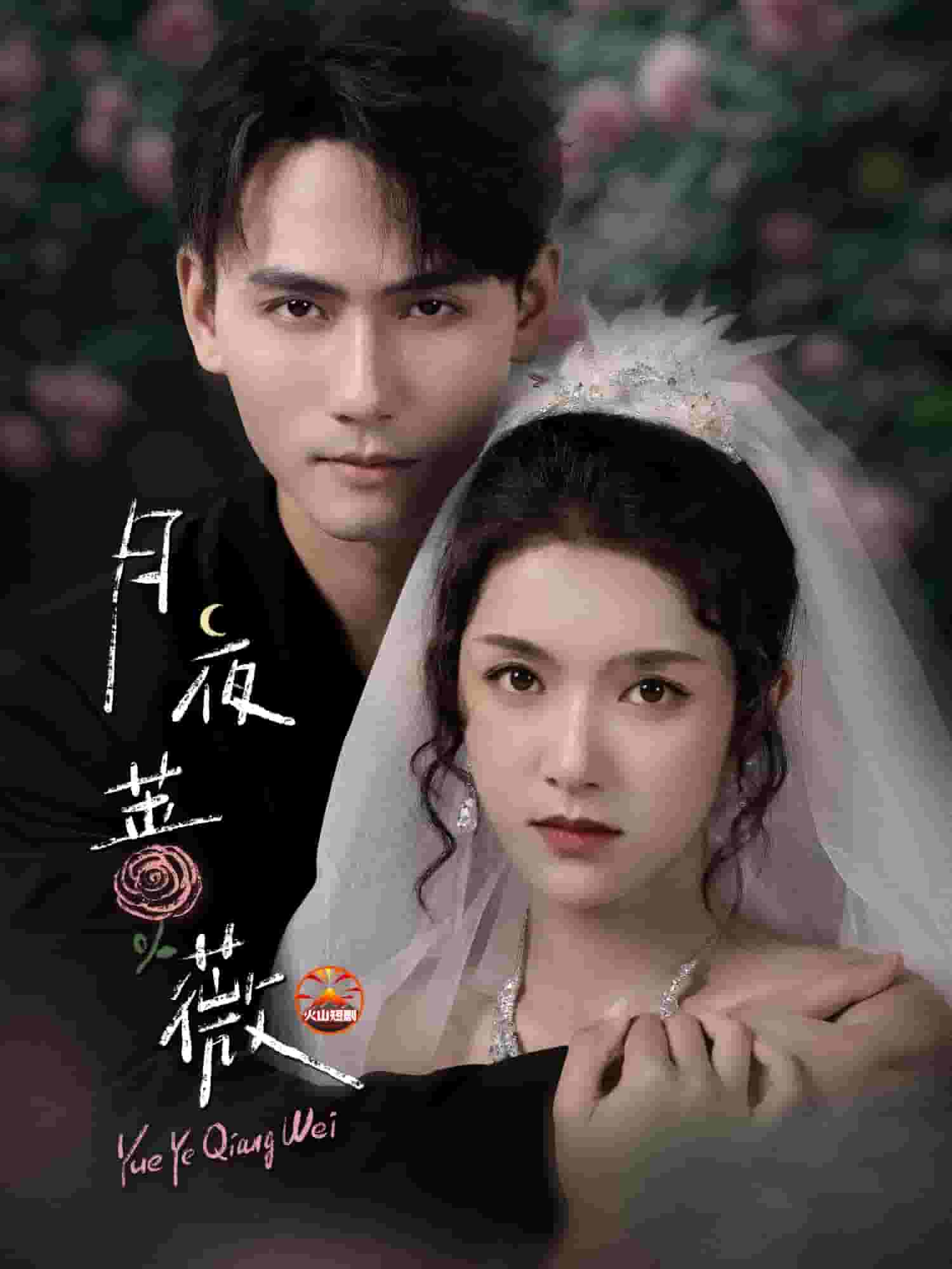 月夜蔷薇(全集)
