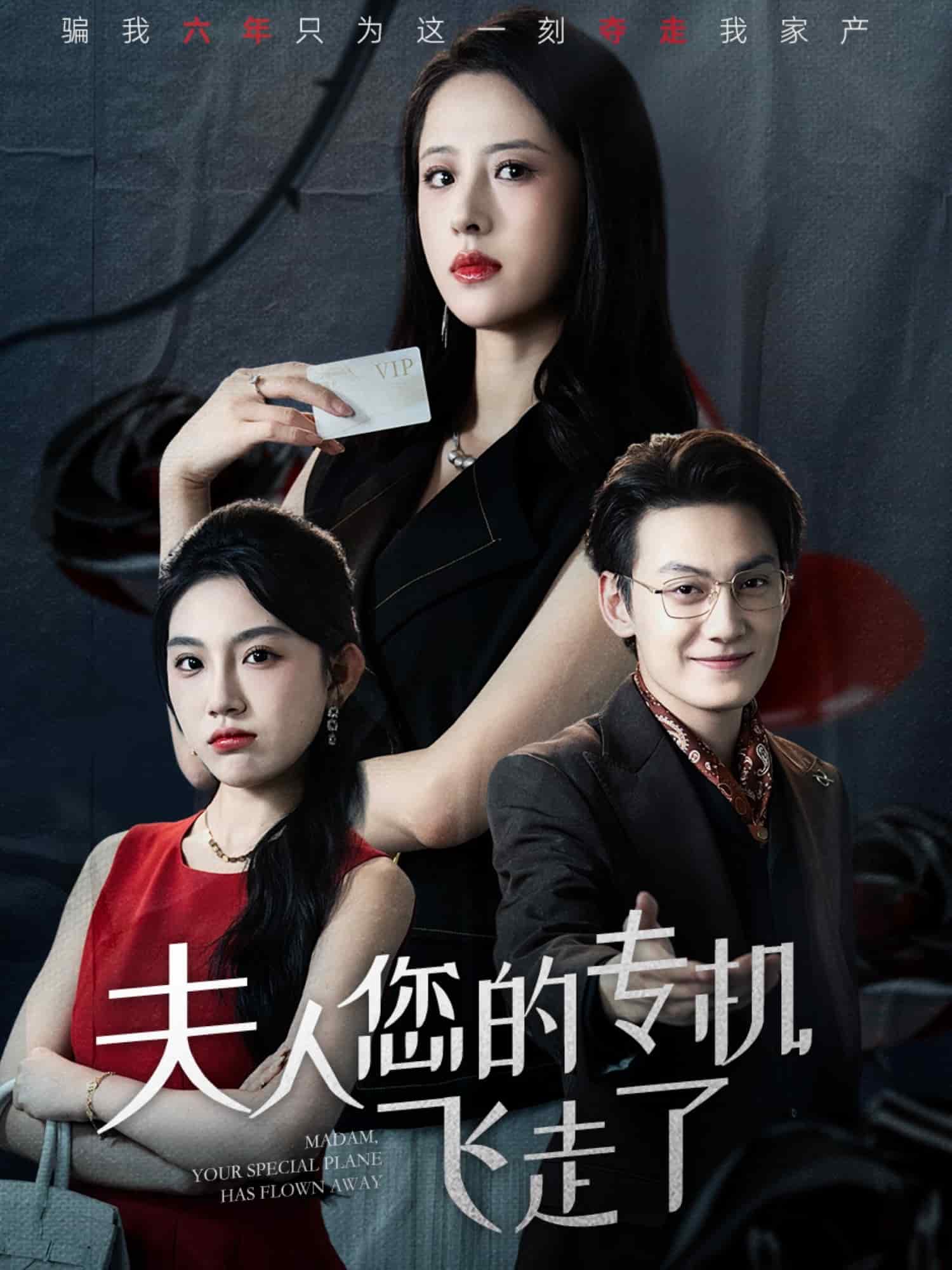 夫人您的专机飞走了(全集)
