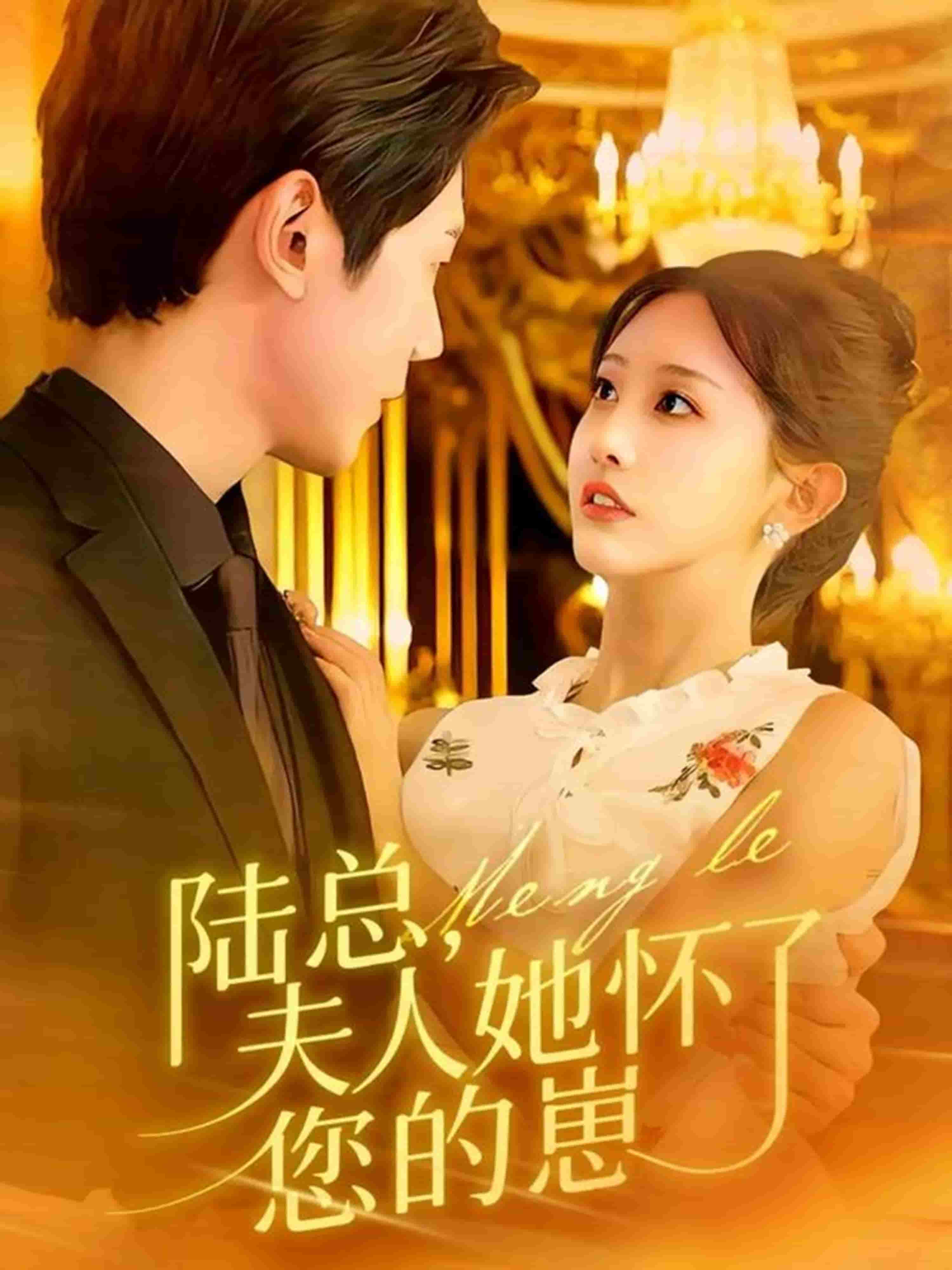 陆总，夫人她怀了您的崽(全集)