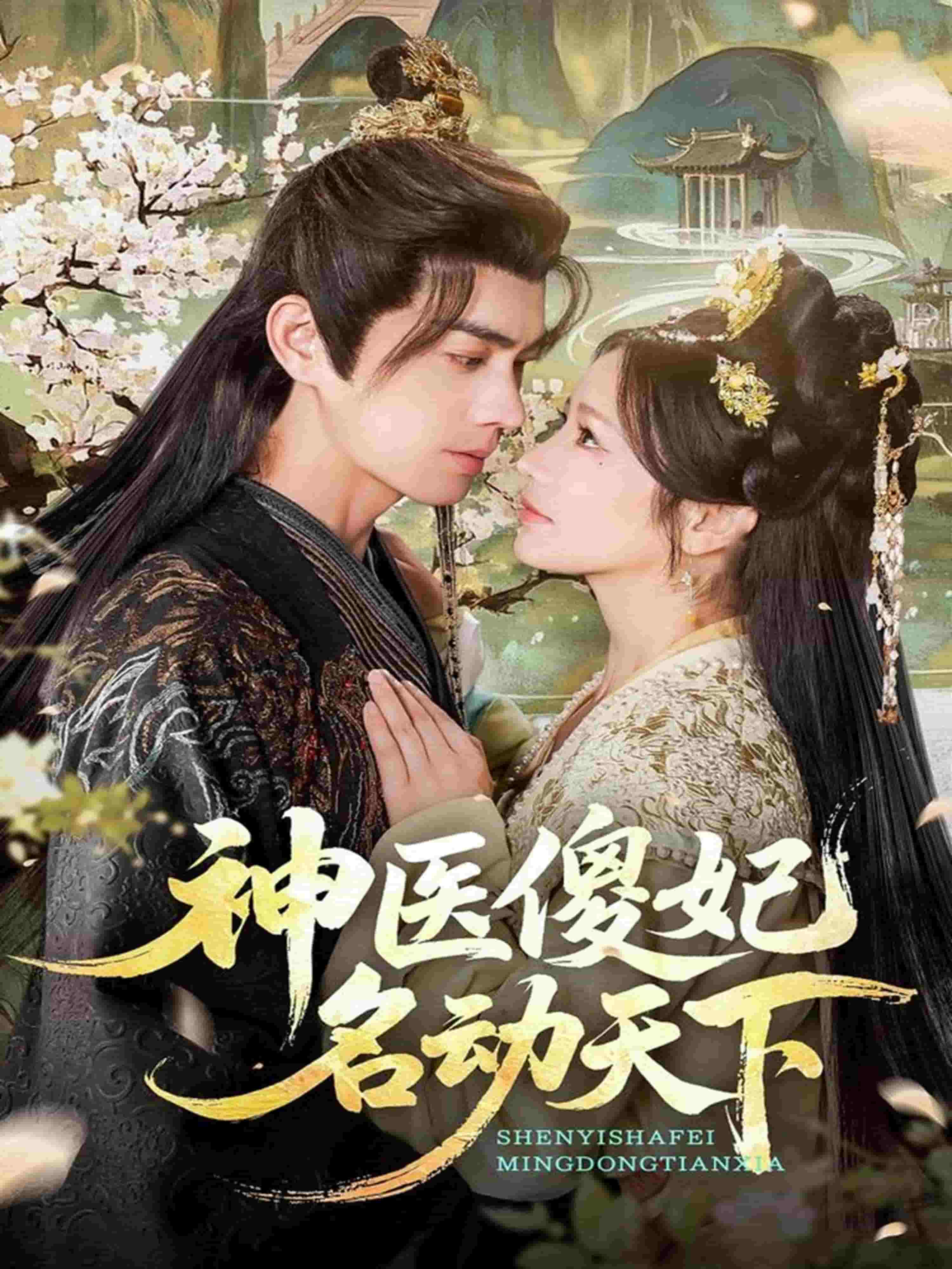 神医傻妃名动天下(全集)